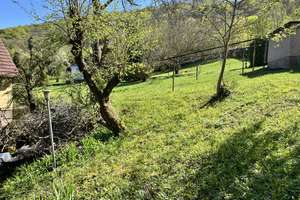 Einfamilien- oder Ferienhaus am Waldrand  von Sondershausen – Bergstr. 15, 99706 Sondershausen – Vorschaubild 5