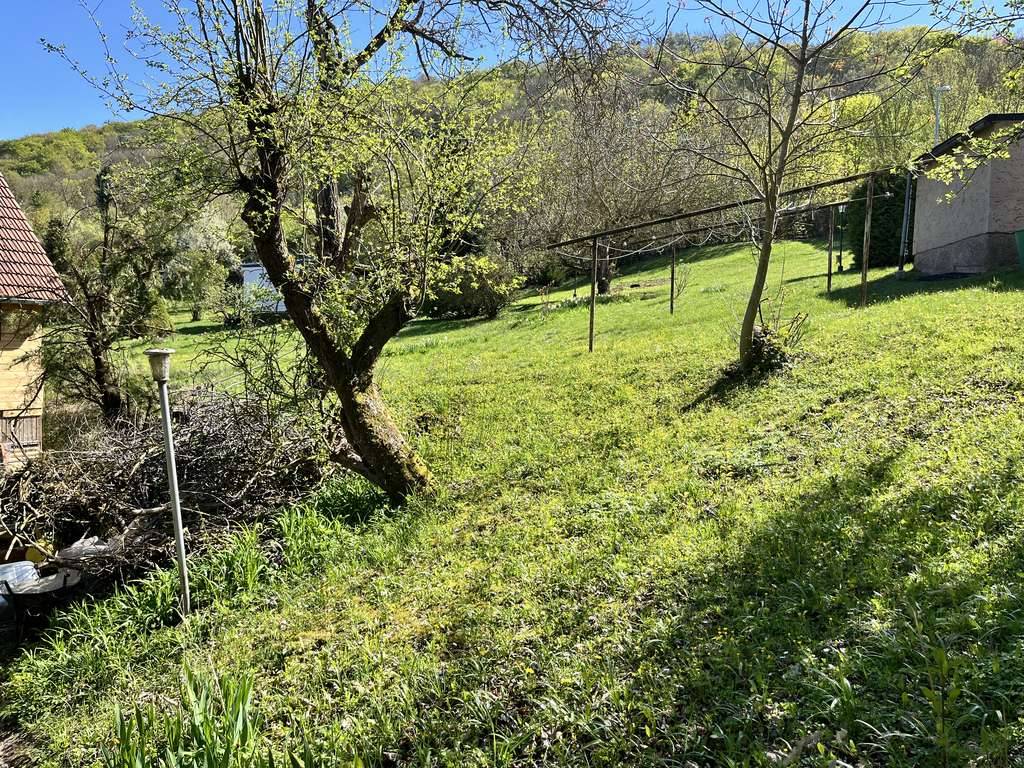 Immobilie in Kyffhäuserland - Einfamilien- oder Ferienhaus am Waldrand  von Sondershausen - Bild 4