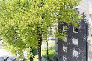 Gepflegte 4-Zimmer-Wohnung in Gelsenkirchen-Buer / Beckhausen – nahe Innenstadt – Die vollständige Adresse der Immobilie erhältst du vom Anbieter., 45897 Buer, Gelsenkirchen – Vorschaubild 14