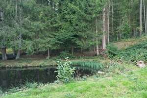 Ein Rückzugsort inmitten der Natur – Außergewöhnliches Wochenendhaus für Jäger oder Individualisten – Die vollständige Adresse der Immobilie erhältst du vom Anbieter., 54411 Hermeskeil – Vorschaubild 22