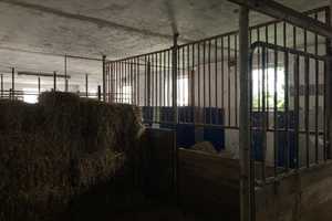 Ihr Traum vom Pferdeparadies - abgängiges Einfamilienhaus und Stallungen auf ca. 4.300m² Grundstück – Lippe (Kreis) – Vorschaubild 8