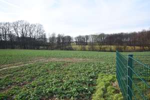 Landwirtschaftliches Anwesen in herrlicher Lage in Spenge - Bardüttingdorf – Die vollständige Adresse der Immobilie erhältst du vom Anbieter., 32139 Spenge – Vorschaubild 15