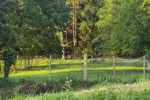 Tolles Einfamilienhaus mit ELW (Ferienwohnung) – Hinterhöfen 5 A, 77955 Ettenheim – Vorschaubild 26