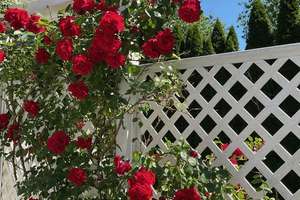 Repräsentative Premium-Villa auf 2.300 qm Parkgrundstück in bester Lage von Glienicke – Die vollständige Adresse der Immobilie erhältst du vom Anbieter., 16548 Glienicke/Nordbahn – Vorschaubild 24