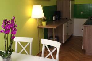 tolle Einraumwohnung Leipzig Zentrum Süd vollständig eingerichtet Nahe UNI und HTWK – Riemannstraße 27, 4107 Zentrum-Süd, Leipzig – Vorschaubild 4