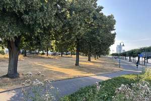 RHEINZAUBER Beuel !!
Hochwertige 3-Zimmer-WHG !
Ideal für Best-Ager !
Nur 150 m vom Rhein entfern – Die vollständige Adresse der Immobilie erhältst du vom Anbieter., 53225 Beuel-Mitte, Bonn – Vorschaubild 9