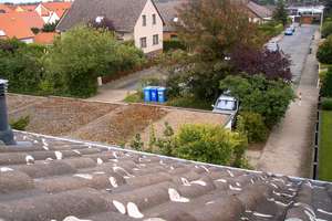 6-Zimmer-Reihenmittelhaus in Braunschweig Broitzem – Die vollständige Adresse der Immobilie erhältst du vom Anbieter., 38122 Broitzem, Braunschweig – Vorschaubild 55