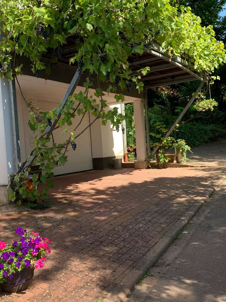 Immobilie in Birkenhördt - Von Privat: Charmantes und top gepflegtes Einfamilienhaus mit Weitblick und Garten in Birkenhördt - Bild 4