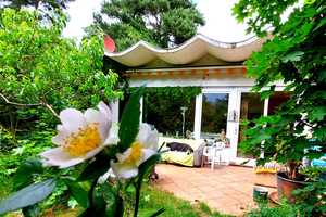 Besonderer Bungalow auf wunderschönem Grundstück in Berlin-Mahlsdorf – Berlin – Vorschaubild 1