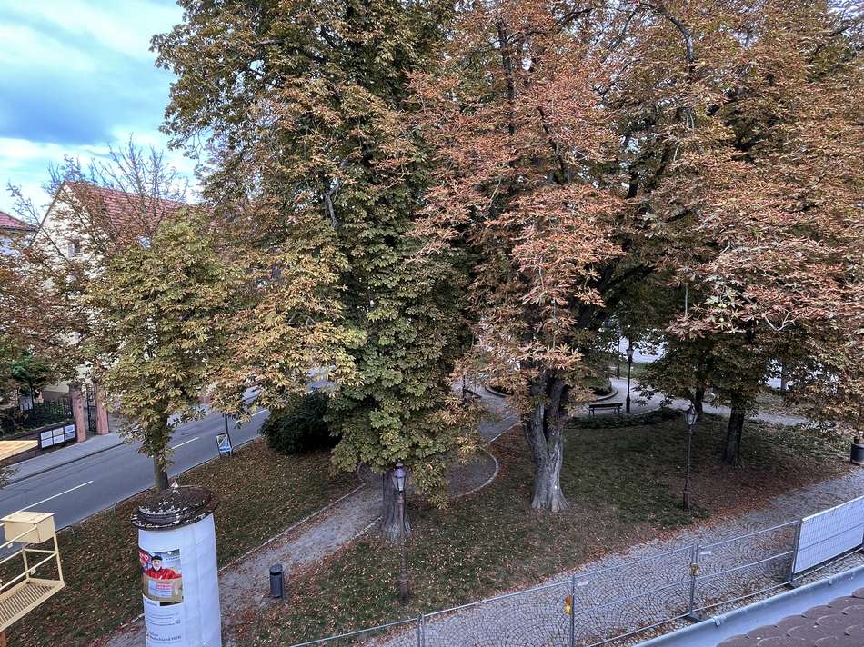 Ausblick_Hengstplatz