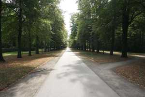 Property thumbnail 23