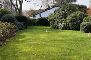 Privates Wohnen in bester Lage – Gepflegtes Einfamilienhaus mit viel Platz und Substanz – Die vollständige Adresse der Immobilie erhältst du vom Anbieter., 50858 Weiden, Köln – Vorschaubild 4