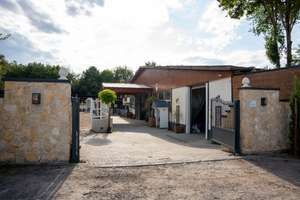 Moderne Reitanlage mit Wohnhaus – Toplage im Rhein-Main-Gebiet – Die vollständige Adresse der Immobilie erhältst du vom Anbieter., 55271 Stadecken-Elsheim – Vorschaubild 13
