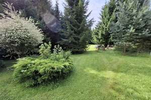 Feines Haus mit Wald in idyllischer Lage – Die vollständige Adresse der Immobilie erhältst du vom Anbieter., 2742 Neusalza-Spremberg – Vorschaubild 7