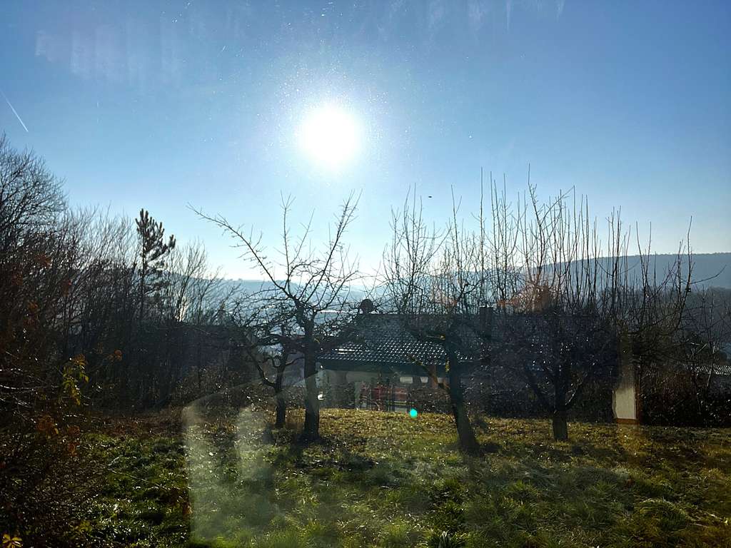 Immobilie in Hardheim - Hervorragende Lage: Barrierefreies Einfamilienhaus mit ELW und tollem Grundstück - Bild 0