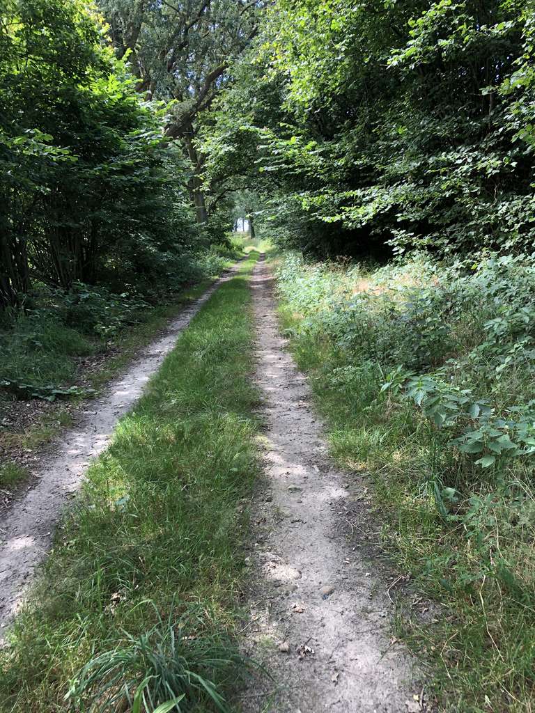 Immobilie in Putlitz - Anwesen in Alleinlage, 18,6 ha arrondiert - Bild 2