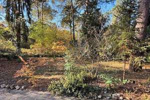 Property thumbnail 23