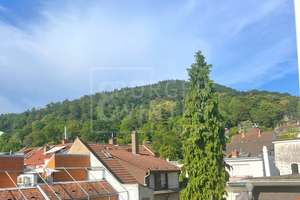 Provisionsfrei * Exklusives Stadthaus in Neuenheim: Split-Level-Architektur – Die vollständige Adresse der Immobilie erhältst du vom Anbieter., 69120 Neuenheim, Heidelberg – Vorschaubild 28