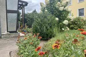 Reihenendhaus in ruhiger Wohnlage von Ebstorf – Uelzen (Kreis) – Vorschaubild 5