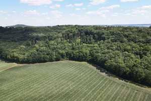 Ländlicher 3-Seiten-Hof zur Sanierung – Wohnhaus, Hofareal, Stallungen und 5.000 m² Wald! – Neustadt a.d. Aisch-Bad Windsheim (Kreis) – Vorschaubild 38