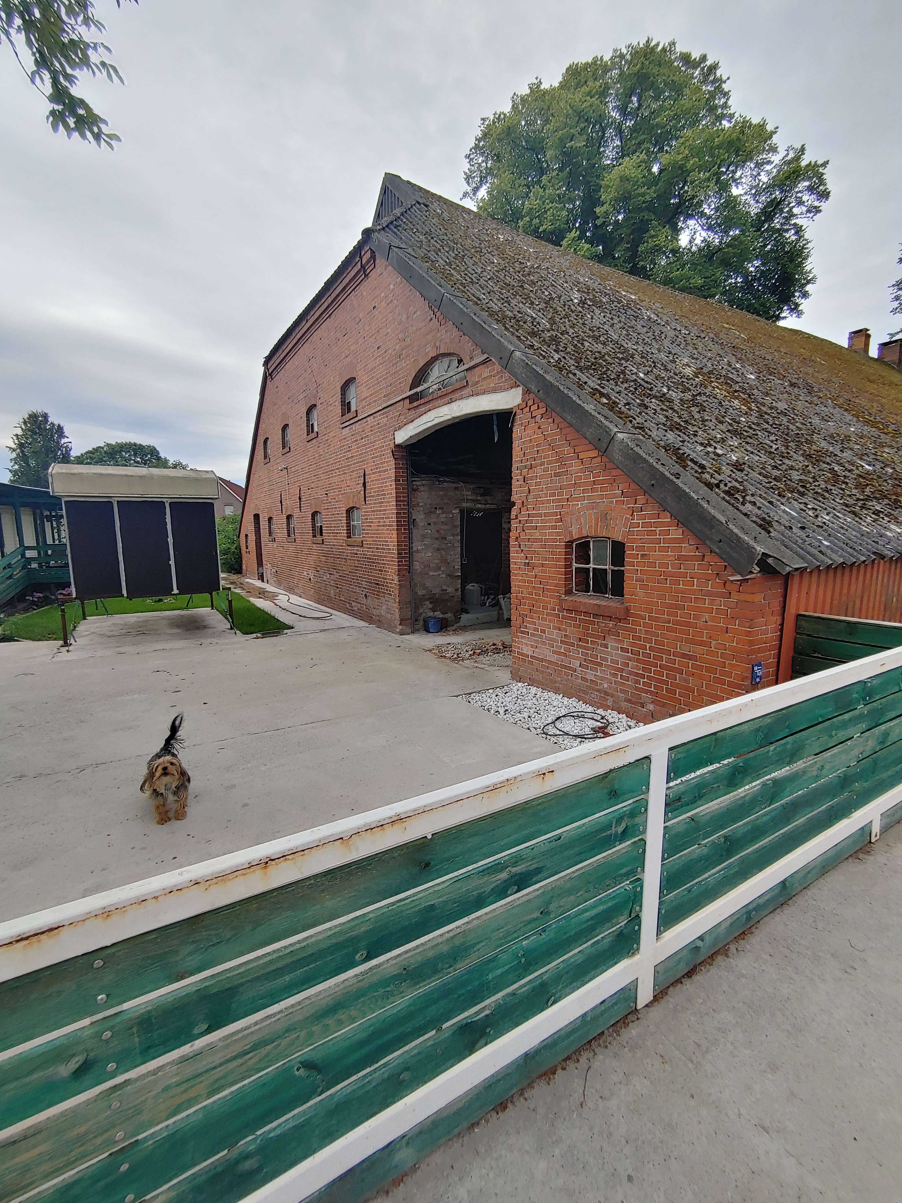 Gulfhaus in malerischer Stille mit altem Baumbestand in Holtland, Leer Kreis – Bild 4
