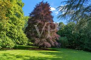 Historisches Anwesen mit großem Park - A Landmark Property - Villa historique dans un parc – Die vollständige Adresse der Immobilie erhältst du vom Anbieter., 52076 Burtscheid Steinebrück, Aachen – Vorschaubild 3