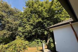 Property thumbnail 21