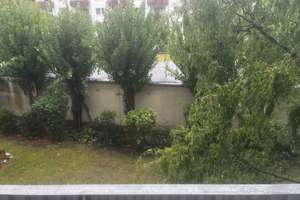 Gemütliches Zuhause unbefristet – 3 Zimmer ab 01.01.2026 – Grahnstraße Xy, 30165 Vahrenwald, Hannover – Vorschaubild 2
