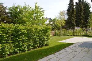 München-Obermenzing - Top schicke, sehr helle 3-Zimmer-Garten-Wohnung – Schöppingstr. 14, 81247 Obermenzing, München – Vorschaubild 11