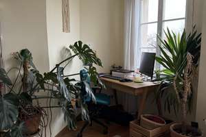 Property thumbnail 9