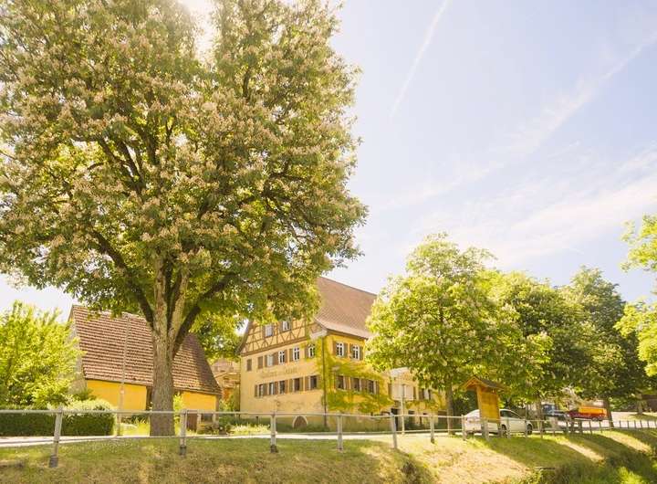 Real Estate Title Image Background