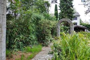 Property thumbnail 35