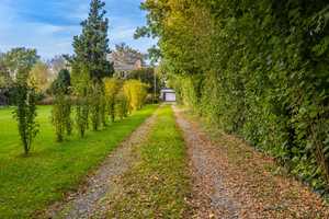 GERÄUMIGES EINFAMILIENHAUS IN SCHÖNER GRÜNER LAGE, MIT ZWEI BÄDERN, VOLL UNTERKELLERT UND GARAGE – Soest (Kreis) – Vorschaubild 3