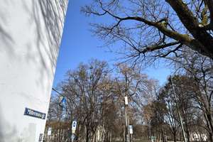 Möbilierte 2-Zi-Wohnung in Mittermayrstr. 31 – Mittermayrstraße 31, 80796 Neuschwabing, München – Vorschaubild 13