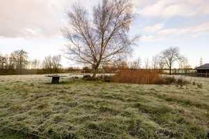 Doppelhaushälfte mit Potenzial- Großer Garten und Möglichkeit für zwei Einheiten – Nordfriesland (Kreis) – Vorschaubild 6