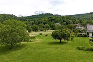 Einfamilienhaus in Toplage von Ebringen – ruhig, naturnah, stadtnah – Schönbergstraße 127A, 79285 Breisgau-Hochschwarzwald (Kreis) – Vorschaubild 5