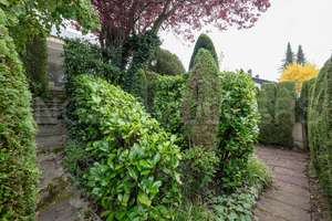 Property thumbnail 17