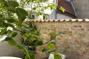 Historisches Ganghaus mit sonniger Hofterrasse in einem der schönsten Gänge der Lübecker Altstadt – Die vollständige Adresse der Immobilie erhältst du vom Anbieter., 23552 Innenstadt, Lübeck – Vorschaubild 25