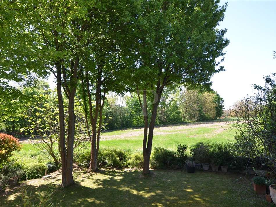 Blick in den Garten und auf da