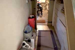 Charmantes Einfamilienhaus mit großem Garten und Ausbaupotenzial – Verkauf im Bieterverfahren – Karlsruhe (Kreis) – Vorschaubild 41