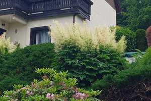 Wohnhaus mit großem Grundstück nahe der Stadtmitte – Hohe Straße 1, 9337 Zwickau (Kreis) – Vorschaubild 5