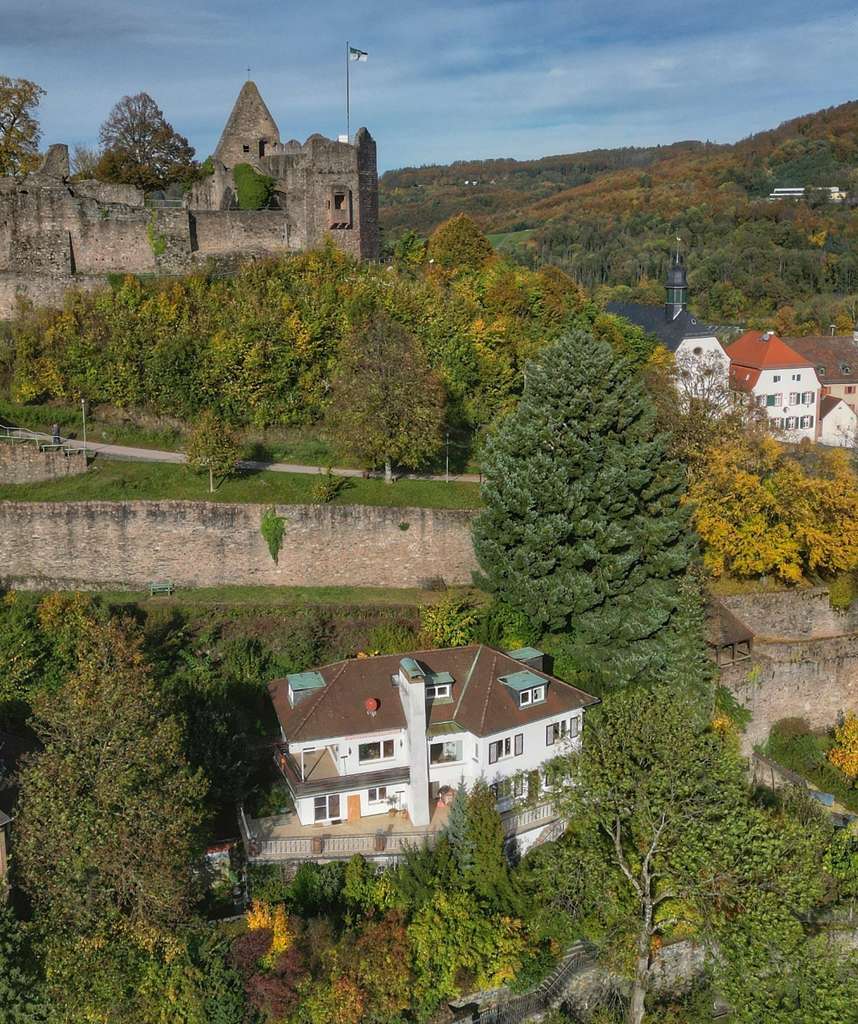Immobilie in Lindenfels - Wohnen wie ein Burgherr - 4 Parteien, für Kapitalanleger oder Eigennutzer - Bild 0