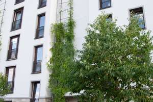 Exclusive Gelegenheit!  4-Zimmer Penthouse- Wohnung mit perfekter Verkehrsanbindung und Natur KFW 55 – 63073 Bieber, Offenbach am Main – Vorschaubild 7