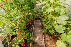 Gemütliches Einfamilienhaus in familienfreundlicher Lage mit neuer Pelletheizung und Garten – Mittelweg 14, 6542 Mansfeld-Südharz (Kreis) – Vorschaubild 24