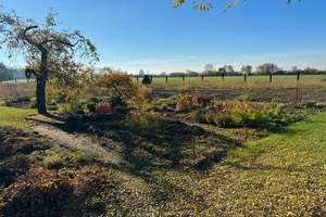 Historischer Vierseitenhof mit idyllischem Gartenparadies vor den Toren Erfurts – Die vollständige Adresse der Immobilie erhältst du vom Anbieter., 99195 Riethnordhausen – Vorschaubild 22
