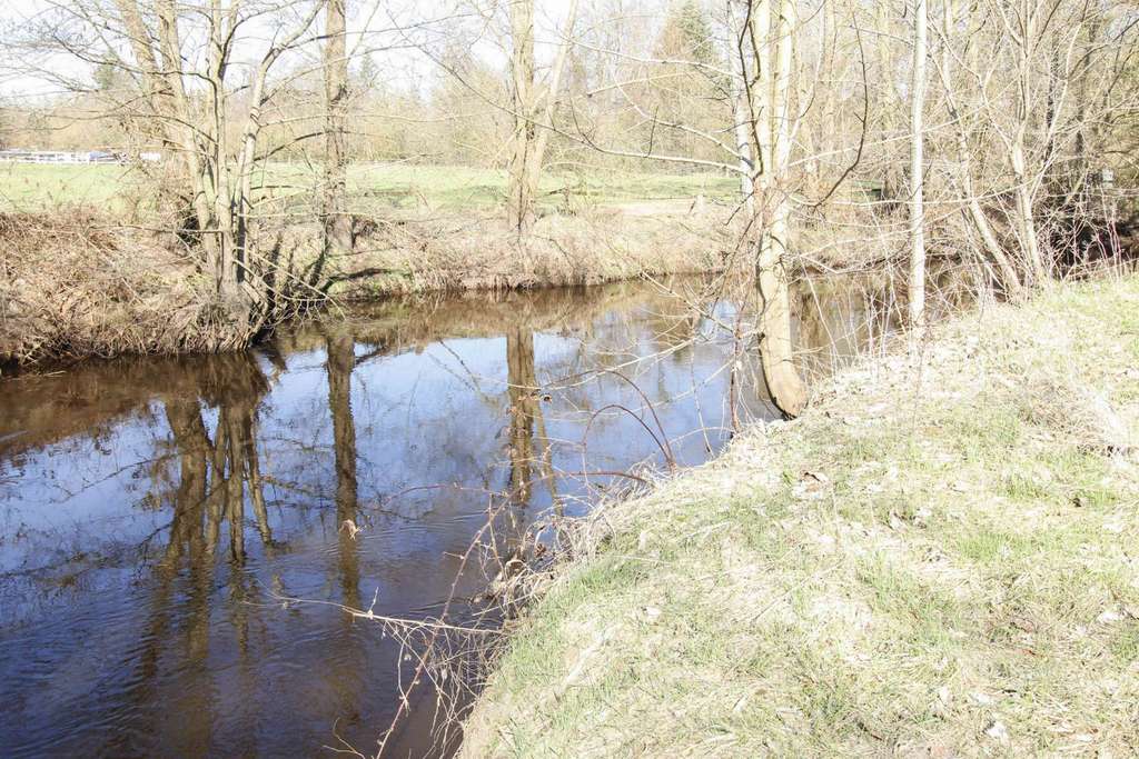 Immobilie in Bad Fallingbostel - Traumhafter Rest-Hof in Wasserlage ! Mit 3 Wohneinheiten & fabelhaften Nutzungsoptionen - Bild 1