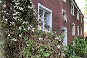 DO-Wambel - Nähe Knappschaft KKH -  kersan. 2-Zi KDB - EBK - neues Bad + Holzdielen - Garten !!! – Einigkeit 17, 44143 Dortmund – Vorschaubild 10