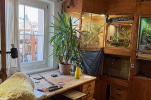 Property thumbnail 3