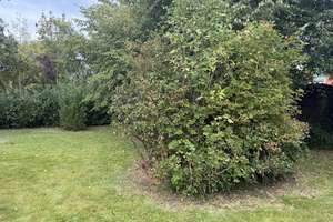 Idyllische Ruheoase - unweit der Nordseeküste – Die vollständige Adresse der Immobilie erhältst du vom Anbieter., 26434 Wangerland – Vorschaubild 9