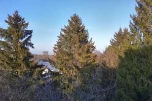 Vollständig renovierte, sonnige 2-Zimmer-Wohnung mit EBK, Süd-/West-Balkon in Solln – Geigenbergerstraße 13, 81477 Solln, München – Vorschaubild 19
